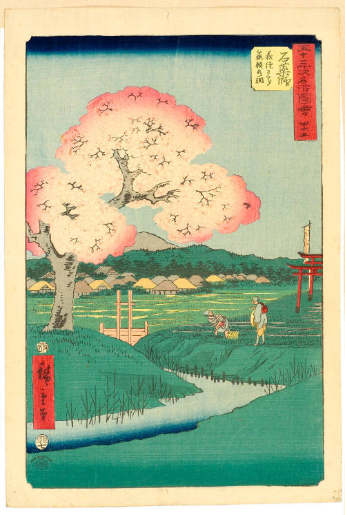 Yoshitsune’s Cherry Tree and the Shrine to Noriyori at Ishiyakushi