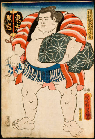 Sumo  Wrestler: Kuroiwa