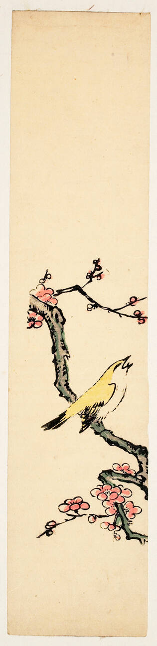Canary and Cherry Branch