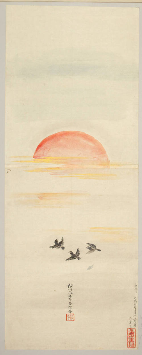 Birds and Sun