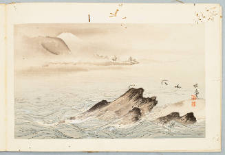 Image No. 2: Swallows on the Reef