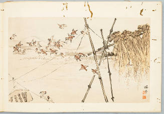 Image No. 10: A Host of Sparrows Amidst the Plentiful Harvest