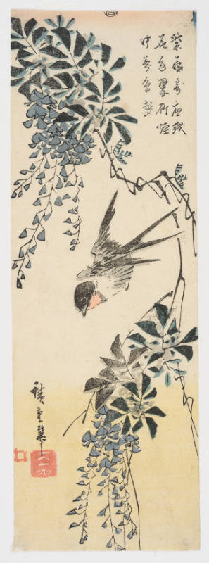 Swallows and Wisteria