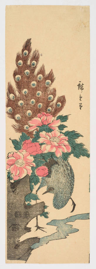 Peacock and Peonies