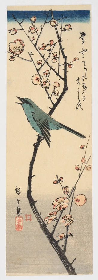 Nightingale on Plum Branch